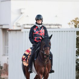 【京成杯】アッカン魅力たっぷり