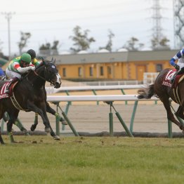 【日経新春杯】データ作戦　穴党は５、６歳を狙え