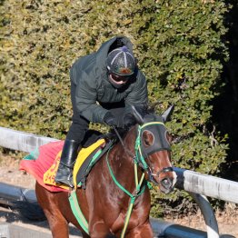 【日経新春杯】有馬記念除外の鬱憤を晴らす　ライラック久々の美酒だ