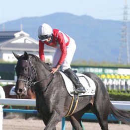 【田中の土曜競馬コラム・羅生門Ｓ】