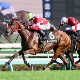 【市川の土曜競馬コラム・カーバンクルＳ】