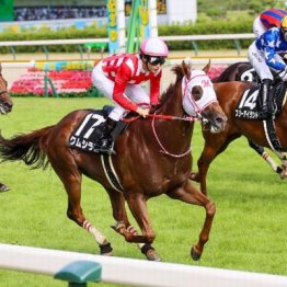 【橘の土曜競馬コラム・カーバンクルＳ】