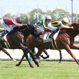 【大阪本紙・弘中の土曜京都９Ｒ】