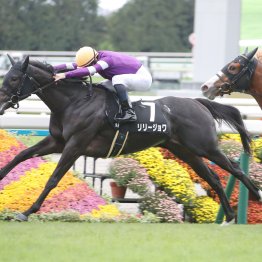 【大阪本紙・弘中の土曜京都10Ｒ】