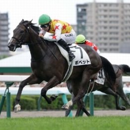 【東京本紙・外山の土曜中山９Ｒ】