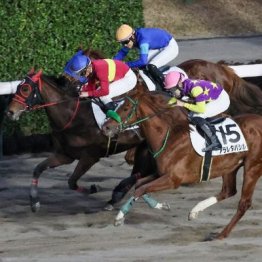 【東京本紙・外山の土曜中山10Ｒ】