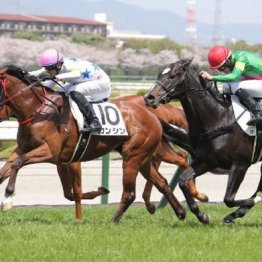 【東京本紙・外山の土曜中山12Ｒ】