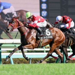 【東京本紙・外山の土曜中山11Ｒ】