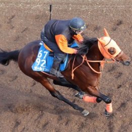 【注目重賞／追い切りで買う・日経新春杯】