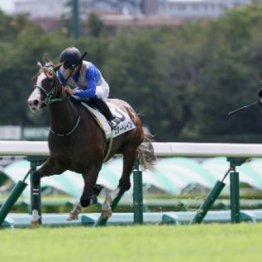 【レスキュー隊の日曜競馬コラム・中山12Ｒ】	