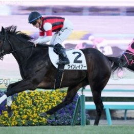 【東京本紙・外山の日曜中山９Ｒ】