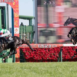 【日経新春杯】◎コーチェラバレー　軽量53キロ　２勝クラスから一気にＧⅡ獲得