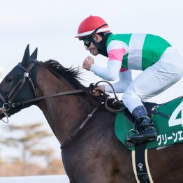 スローの前残り馬場で持続力が生きた日経新春杯