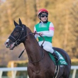 【京成杯】レース後の談話（ネットオリジナルを含む）