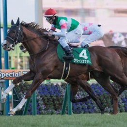 【京成杯】グリーンエナジー鮮やか差し切り