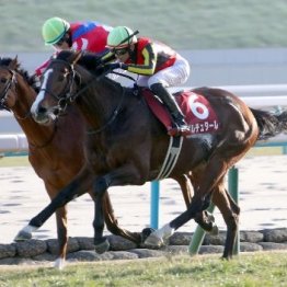 【日経新春杯】ゲルチュタール飛躍見えた重賞初Ｖ