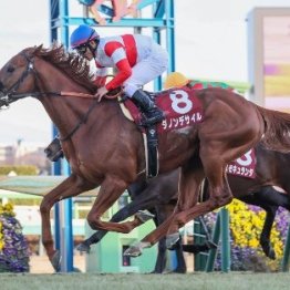 【アメリカＪＣＣ】強い４歳世代を中心に好メンバーが揃う