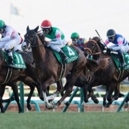 グリーンエナジーのしまいの脚は想像以上