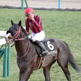 【プロキオンＳ】ブライアンセンスひと皮むけた