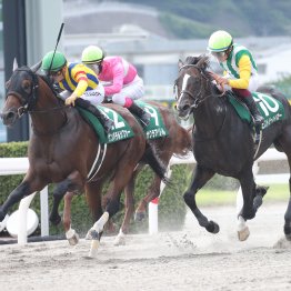 【プロキオンＳ】人気サイドからヒモ荒れを狙え