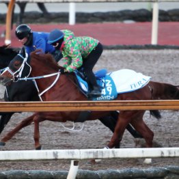 【プロキオンＳ】調教マル得チェック①