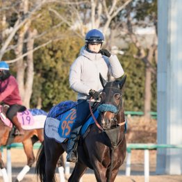 【アメリカＪＣＣ】調教マル得チェック