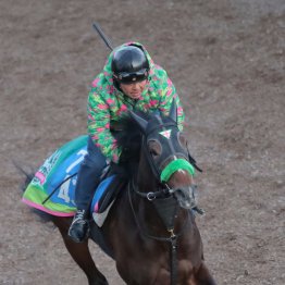 【アメリカＪＣＣ】ジョバンニいつも通りの杉山晴厩舎のパターンで仕上がり良好