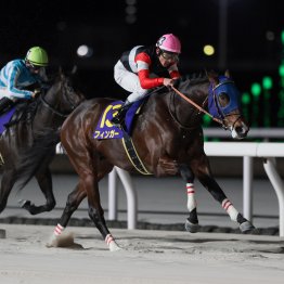 【日刊ゲンダイ賞ブルーバードＣ】１番人気に応えて快勝　フィンガーはガンランナー産駒で日本初の大物か