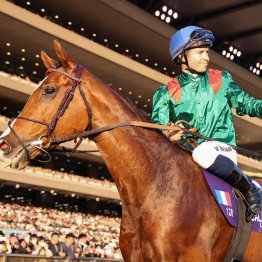 レーティング世界一の１３０　カランダガンがもたらした大きな功績