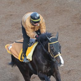 【小倉牝馬Ｓ】パレハ初重賞ゲットだ