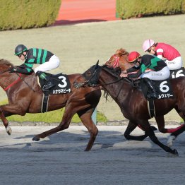 【プロキオンＳ】勢いは一番ハナウマビーチ