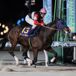 【飯島の土曜競馬コラム・中山２Ｒ】