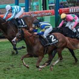 【木津の土曜競馬コラム・初富士Ｓ】