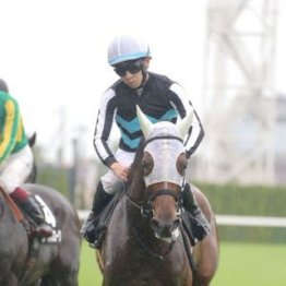 【武田の土曜競馬コラム・小倉牝馬Ｓ】