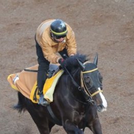 【藤岡の土曜競馬コラム・小倉牝馬Ｓ】