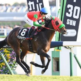 【勝羽の土曜競馬コラム・睦月Ｓ】