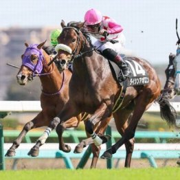 【東京本紙・外山の土曜中山９Ｒ】