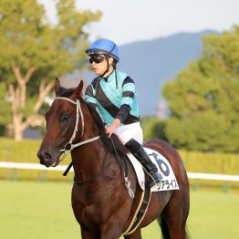 【大阪本紙・弘中の土曜京都12Ｒ】