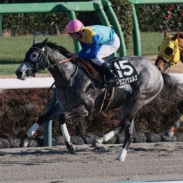 【飯島の日曜競馬コラム・江戸川Ｓ】