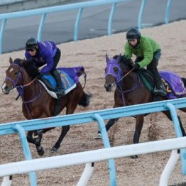 【木津の日曜競馬コラム・アメリカＪＣＣ】