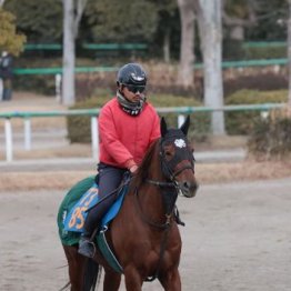 【橘の日曜競馬コラム・アメリカＪＣＣ】