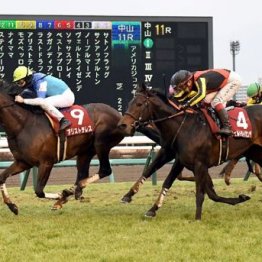 【注目重賞／データで買う・アメリカＪＣＣ】