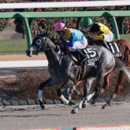 【東京本紙・外山の日曜中山10Ｒ】