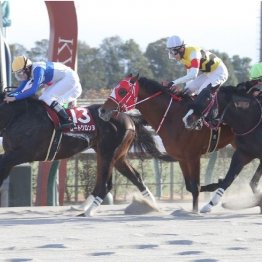 【プロキオンＳ】ロードクロンヌが６度目の正直で重賞制覇