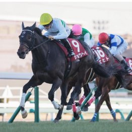 【アメリカＪＣＣ】ショウヘイが重賞２勝目