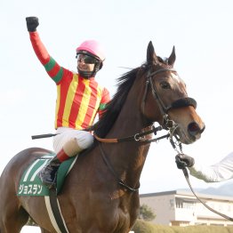 パサパサの京都ダートで先行有利　サンデーファンデー②着を支えたのはスマートボーイの血？