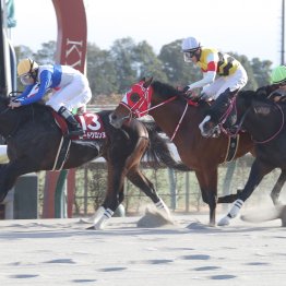 パサパサの京都ダートで先行有利　サンデーファンデー②着を支えたのはスマートボーイの血？