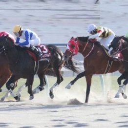 【プロキオンＳ】ロードクロンヌようやく惜敗にピリオド