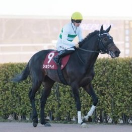 【アメリカＪＣＣ】レース後の談話