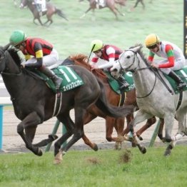 【シルクロードＳ】エーティーマクフィ重賞連勝を狙う